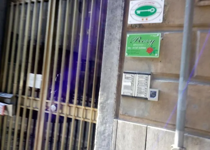 Rosy 라스페치아